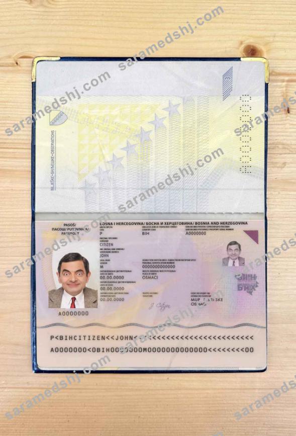 Bosnia & Herzegovina passport photo look
